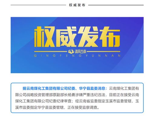 國企反腐再出重拳 云南煤化工集團原戰(zhàn)略投資管理部副部長楊勇接受審查調(diào)查